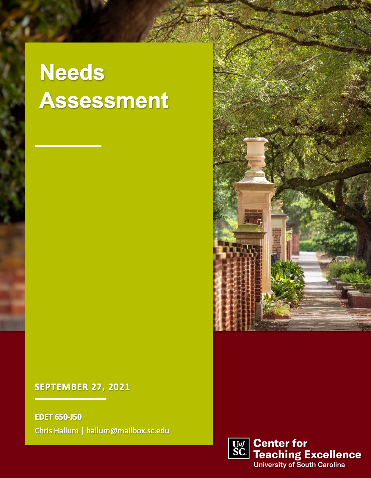 Image of first page of Needs Assessment document